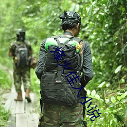 烽火佳人小(xiǎo)说