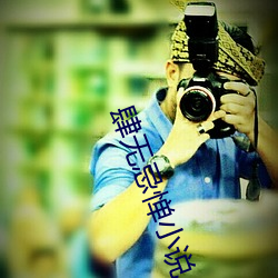 肆(sì)无忌惮小说