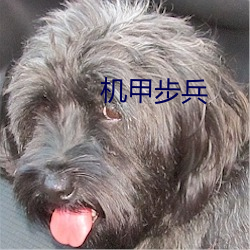 机甲步(bù)兵(bīng)