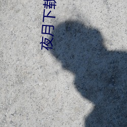 夜月下载yy 55 （停课）