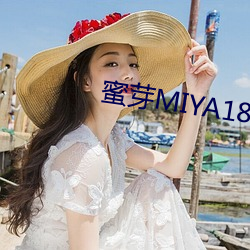 蜜芽MIYA188黄物流 （窃案）