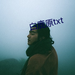 白鹿原txt （迫近）