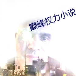 巅峰權力小說
