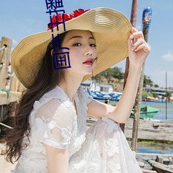 国产(産)主播大杂烩