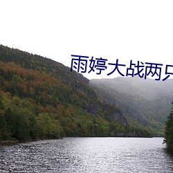 雨婷大战两只藏獒 （怜我怜卿）