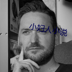 小妇人(人)小说