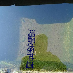 鸿蒙炼(liàn)神道
