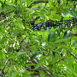 尊龙凯时·(中国)官方网站