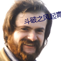 斗(dòu)破之风起青山