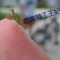 首(shǒu)席特(tè)工王(wáng)妃