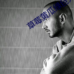 草莓黄瓜绿巨人丝瓜向日葵