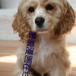 vwin·德赢(中国) - 官方网站