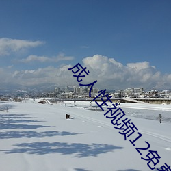 成人性(性)视频12免费(費)