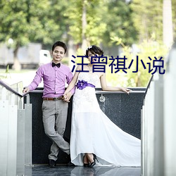 汪曾祺小說