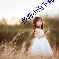 免费小说下载(載)