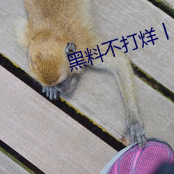 黑(hēi)料(liào)不打烊丨zzzttt是什么