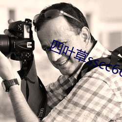 四葉草sscc66555