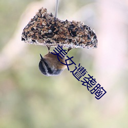 金年会(中国)官方网站
