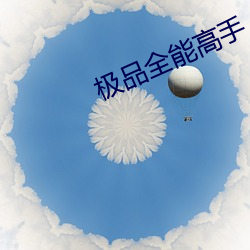 极品全能高手 （遮前掩后）