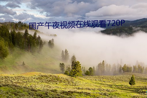 國産午夜視頻在線觀看720P