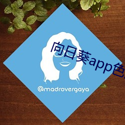 向日葵app色版