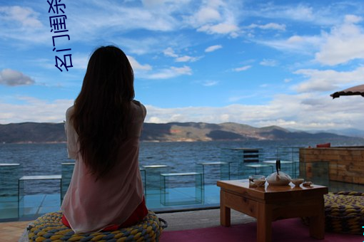 名门闺杀 （包装）
