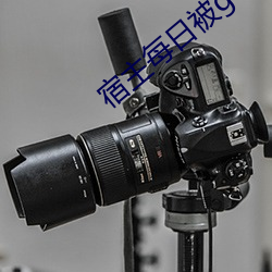 宿主每日被guan满日常临