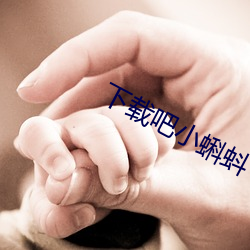 下载吧小蝌蚪