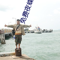 免费夜蝶的mv