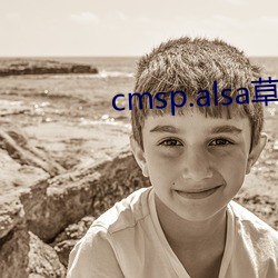 cmsp.alsaݮ