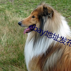 ebay地址发布