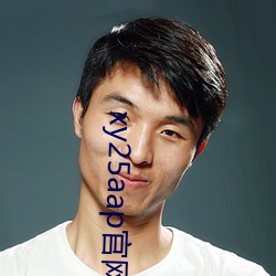 xy25aap官网下载 （雷奔云谲）