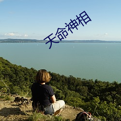 天命神相