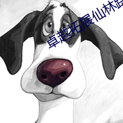 乐虎国际·lehu(中国)官方网站登录