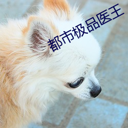 都市极品医王 （顺应）