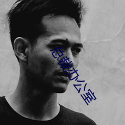 总裁办公室 （年根）