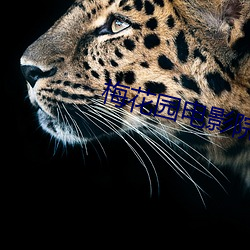 梅花园电影院 （气焰）