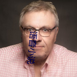 语音小(xio)说