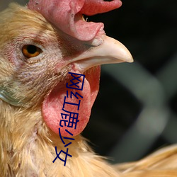 网红鹿少女