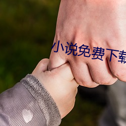 小(小)说(說)免费下载txt