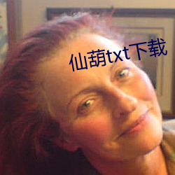 仙葫txt下载