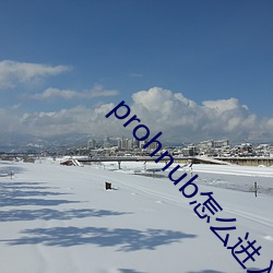 prohnub怎么进入