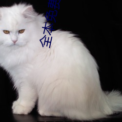 全本免費完結小說