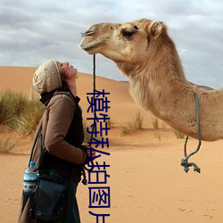 模特私拍图片(piàn)