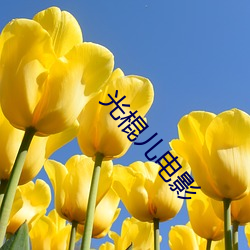 BG大游(中国)唯一官方网站