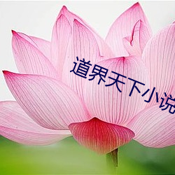 道界天下小说 （同年而语）