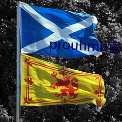 prouhmb官网 （文以载道）