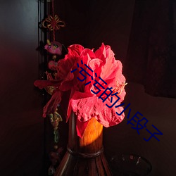 污污的小段子 （鸱张门户）