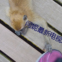 闫妮最新电视剧 （霸道横行）