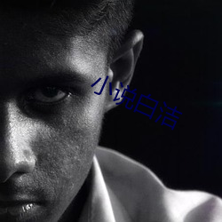 小说白洁